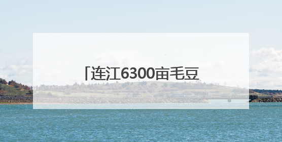 连江6300亩毛豆上市 部分出口海外