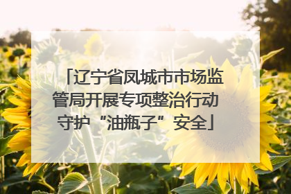 辽宁省凤城市市场监管局开展专项整治行动守护“油瓶子”安全