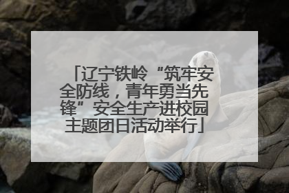 辽宁铁岭“筑牢安全防线，青年勇当先锋”安全生产进校园主题团日活动举行