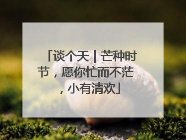 谈个天｜芒种时节，愿你忙而不茫，小有清欢
