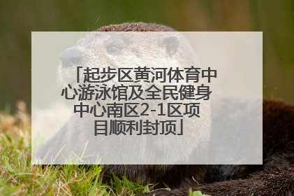 起步区黄河体育中心游泳馆及全民健身中心南区2-1区项目顺利封顶