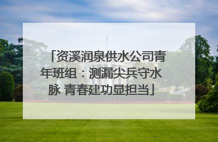 资溪润泉供水公司青年班组：测漏尖兵守水脉 青春建功显担当