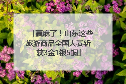 赢麻了！山东这些旅游商品全国大赛斩获3金1银5铜
