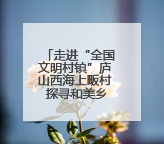 走进“全国文明村镇”庐山西海上畈村 探寻和美乡村的“幸福密码”