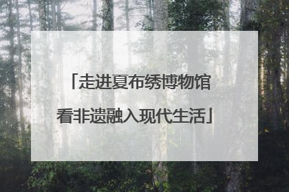 走进夏布绣博物馆 看非遗融入现代生活