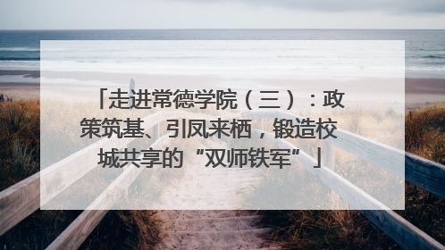 走进常德学院（三）：政策筑基、引凤来栖，锻造校城共享的“双师铁军”