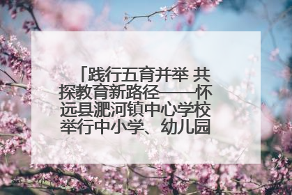 践行五育并举 共探教育新路径——怀远县淝河镇中心学校举行中小学、幼儿园班主任论坛活动