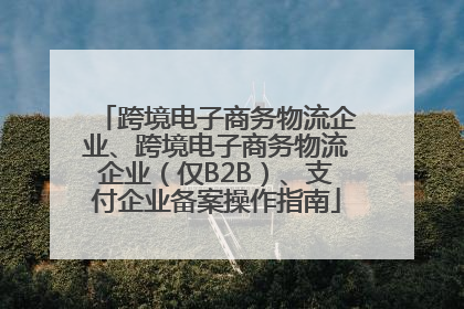 跨境电子商务物流企业、跨境电子商务物流企业（仅B2B）、支付企业备案操作指南