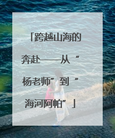 跨越山海的奔赴——从“杨老师”到“海河阿帕”