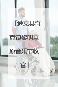 逊克县奇克镇黎明草原音乐节收官