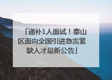 递补1人面试！泰山区面向全国引进急需紧缺人才最新公告