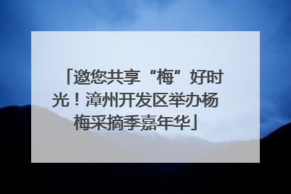 邀您共享“梅”好时光！漳州开发区举办杨梅采摘季嘉年华