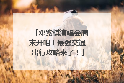 邓紫棋演唱会周末开唱！最强交通出行攻略来了！