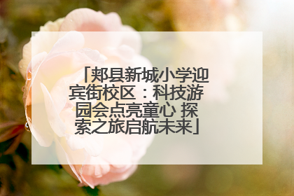 郏县新城小学迎宾街校区：科技游园会点亮童心 探索之旅启航未来