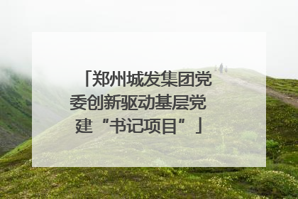 郑州城发集团党委创新驱动基层党建“书记项目”
