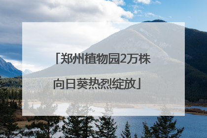 郑州植物园2万株向日葵热烈绽放