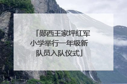 郧西王家坪红军小学举行一年级新队员入队仪式