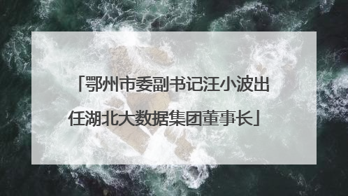 鄂州市委副书记汪小波出任湖北大数据集团董事长