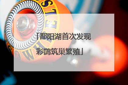 鄱阳湖首次发现彩鹮筑巢繁殖