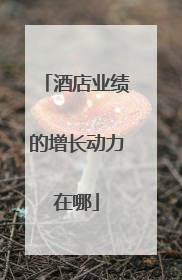 酒店业绩的增长动力在哪