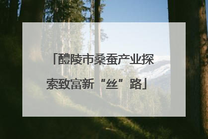醴陵市桑蚕产业探索致富新“丝”路