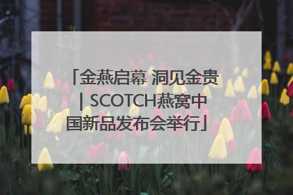 金燕启幕 洞见金贵｜SCOTCH燕窝中国新品发布会举行