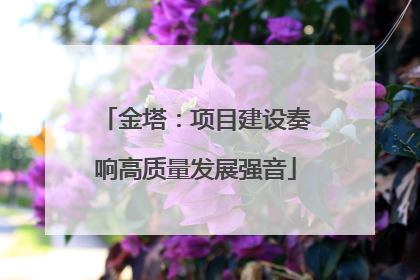 金塔：项目建设奏响高质量发展强音