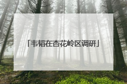 韦韬在杏花岭区调研