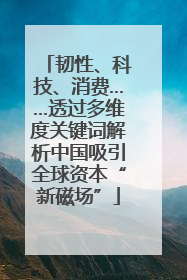 韧性、科技、消费……透过多维度关键词解析中国吸引全球资本“新磁场”