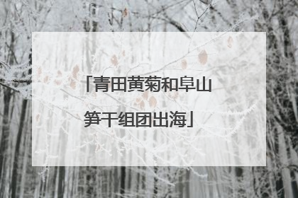 青田黄菊和阜山笋干组团出海