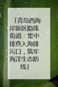 青岛西海岸新区隐珠街道：集中排查入海排污口，筑牢海洋生态防线