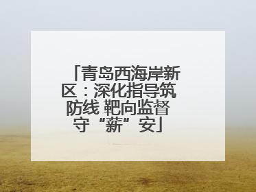 青岛西海岸新区：深化指导筑防线 靶向监督守“薪”安
