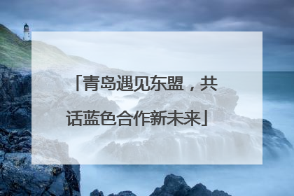 青岛遇见东盟，共话蓝色合作新未来
