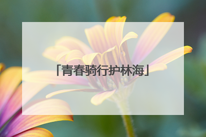 青春骑行护林海