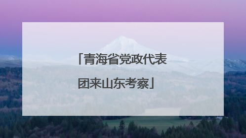 青海省党政代表团来山东考察