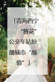 青海西宁：“簪花”公交车站扮靓城市“颜值”