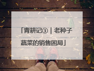 青耕记③｜老种子蔬菜的销售困局
