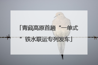 青藏高原首趟“一单式”铁水联运专列发车