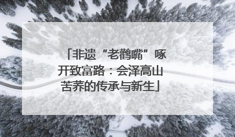 非遗“老鹳嘴”啄开致富路：会泽高山苦荞的传承与新生