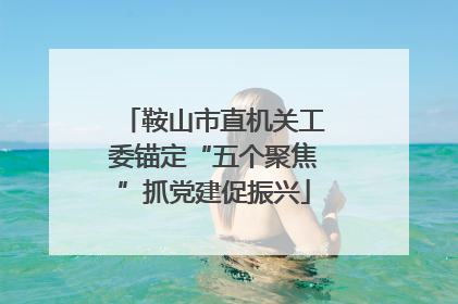 鞍山市直机关工委锚定“五个聚焦”抓党建促振兴