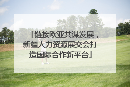 链接欧亚共谋发展，新疆人力资源展交会打造国际合作新平台