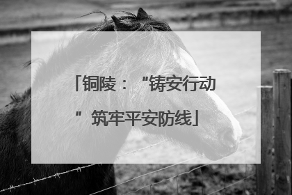 铜陵：“铸安行动”筑牢平安防线