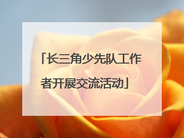 长三角少先队工作者开展交流活动