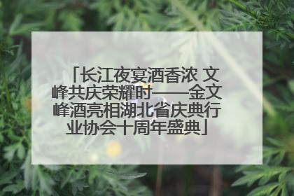 长江夜宴酒香浓 文峰共庆荣耀时——金文峰酒亮相湖北省庆典行业协会十周年盛典