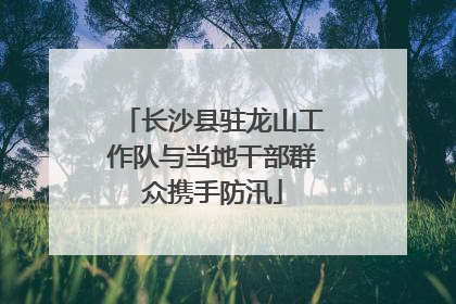 长沙县驻龙山工作队与当地干部群众携手防汛
