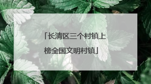 长清区三个村镇上榜全国文明村镇