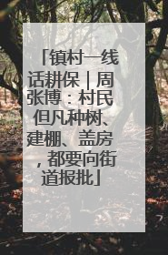 镇村一线话耕保｜周张博：村民但凡种树、建棚、盖房，都要向街道报批