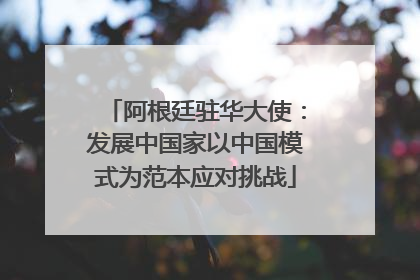 阿根廷驻华大使：发展中国家以中国模式为范本应对挑战