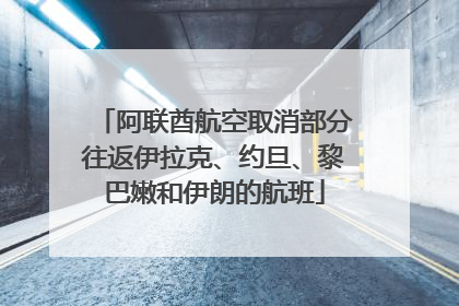 阿联酋航空取消部分往返伊拉克、约旦、黎巴嫩和伊朗的航班