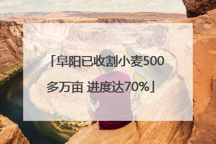 阜阳已收割小麦500多万亩 进度达70%